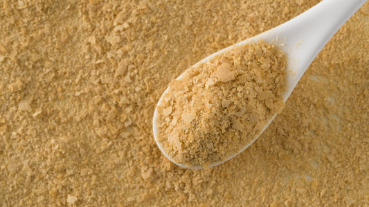 What is Nutritional Yeast?